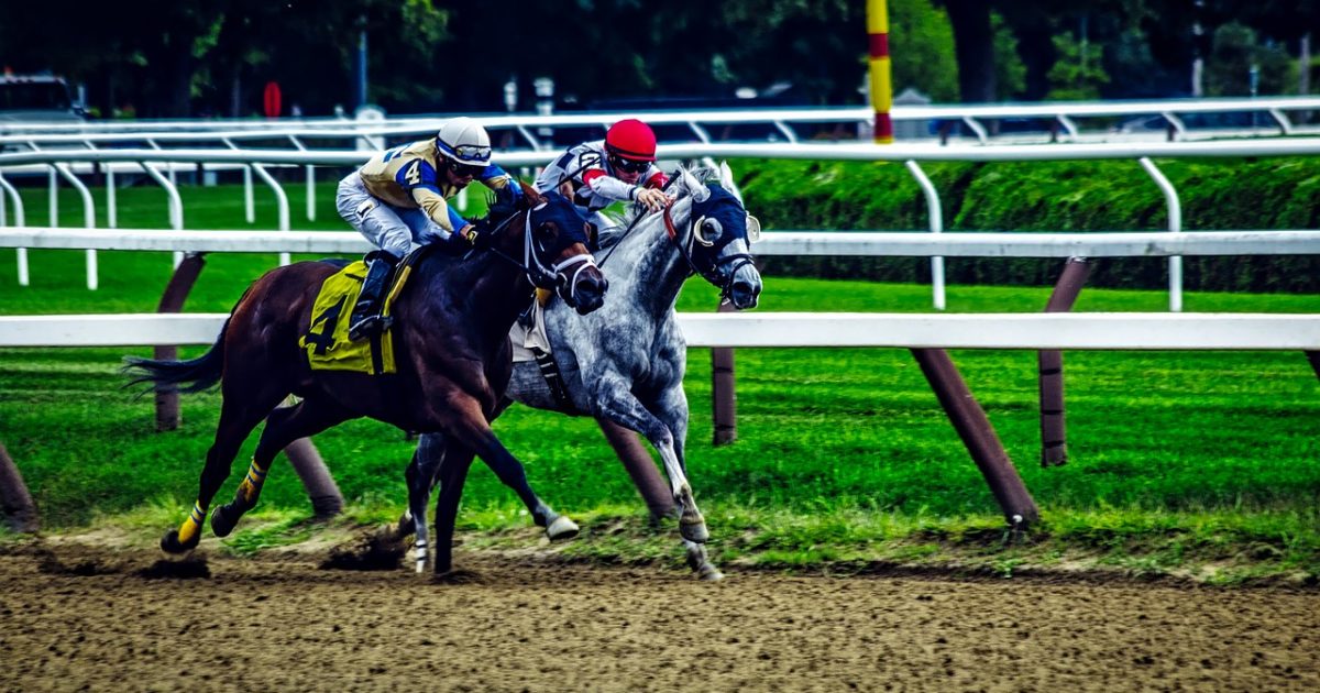 South Korean Horse Racing Expands Broadcasts Abroad South Korean Horse Racing Expands Broadcasts Abroad